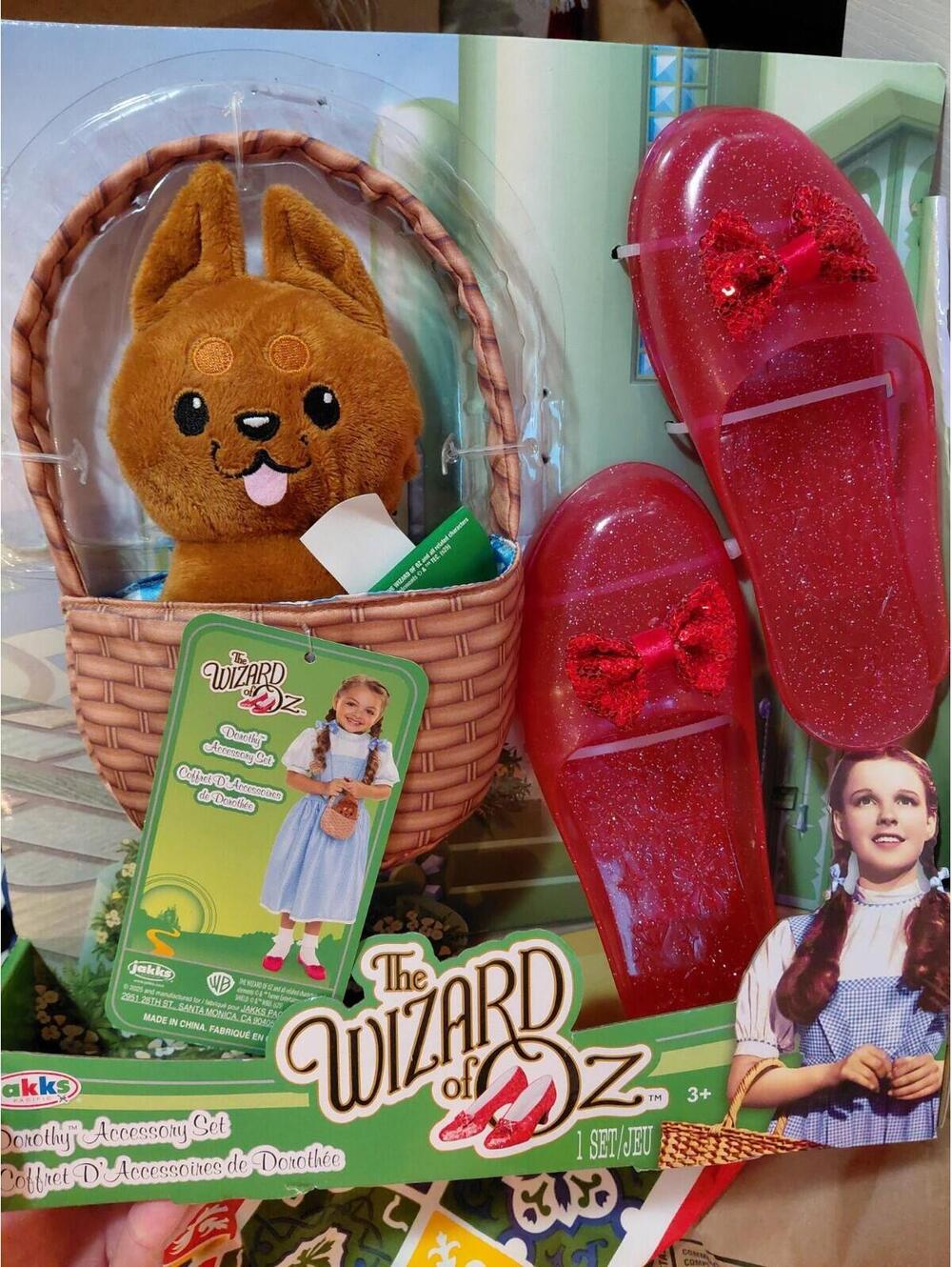 Wizard of oz Dorothy slippers and basket with Toto in it.. Kids Halloween dress